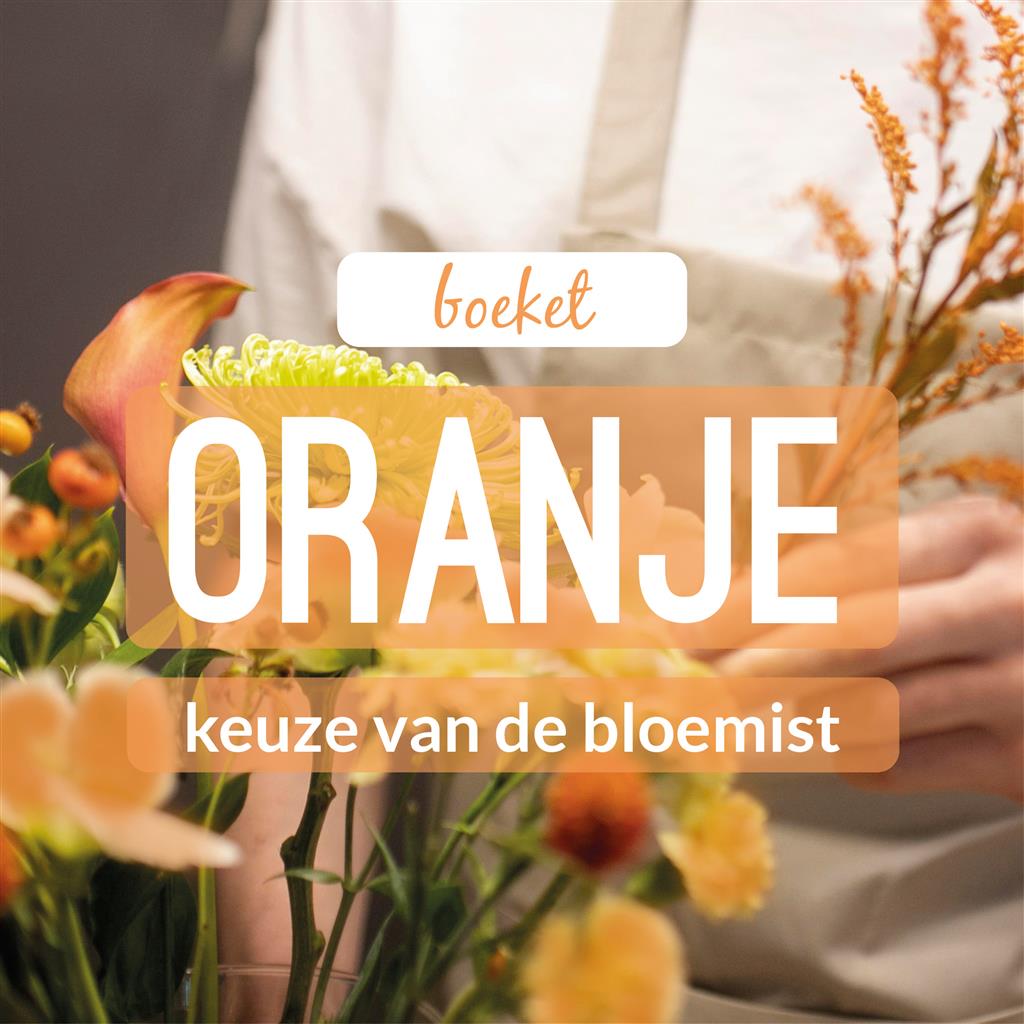 02_kvdb011__rabo__1.jpg