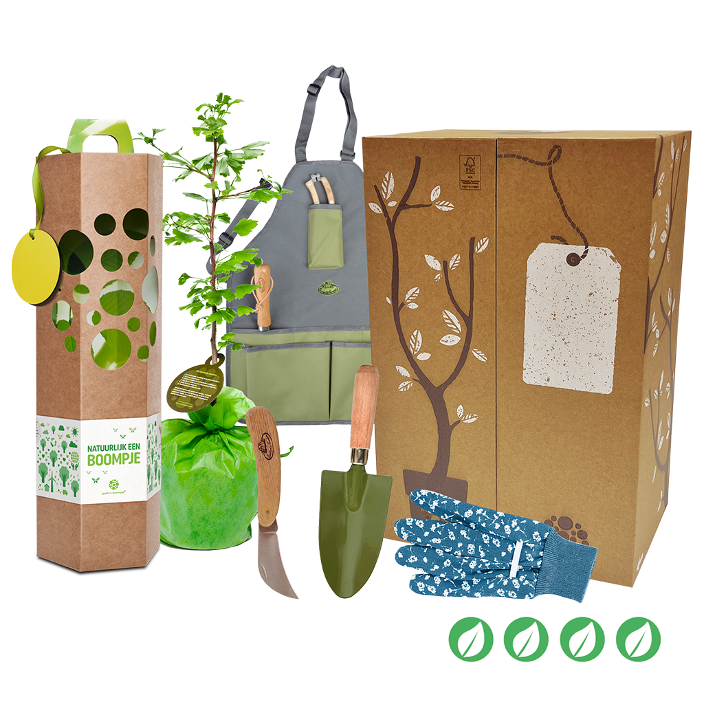 Cadeaupakket Plant een Boompje 0aa_geb_set1__1.png