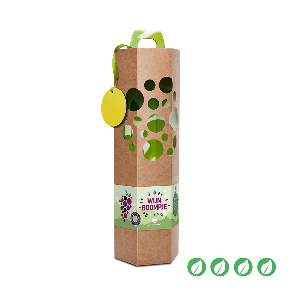 Wijnboompje awijnboompje-druif__1.png