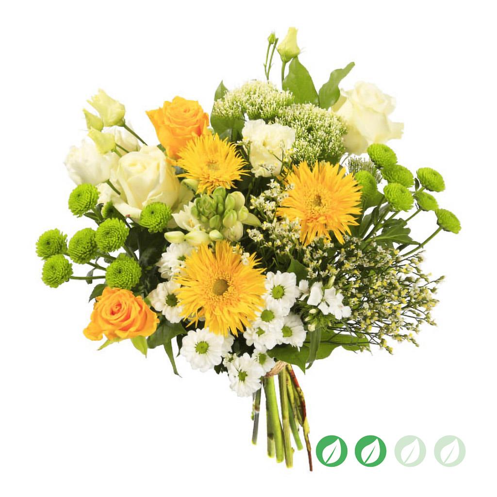 bb_00032__1.jpg