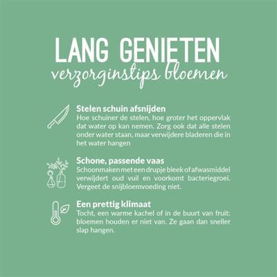 01b_mkb_kvdb001__2.jpg