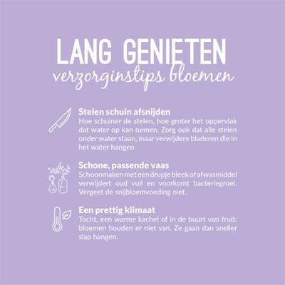 01b_mkb_kvdb005__2.jpg