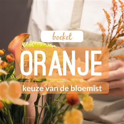 02_kvdb011__rabo__1.jpg