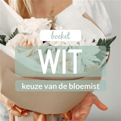 02_kvdb012__rabo__1.jpg