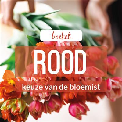 02_kvdb014__rabo__1.jpg