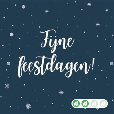 zzz4kerst160__1.jpg