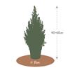 Boskoopse Kerstboom m_bkkerst__4.jpg